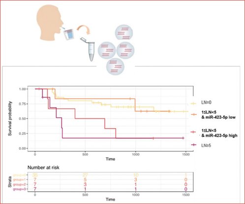 The added value of miRNA-based salivary liquid biopsy in prognostication of oral squamous cell carcinoma. Quantification of miR-423-5p levels in saliva samples improves risk stratification when combined with lymph node status (from Romani et al., 2021, modified).