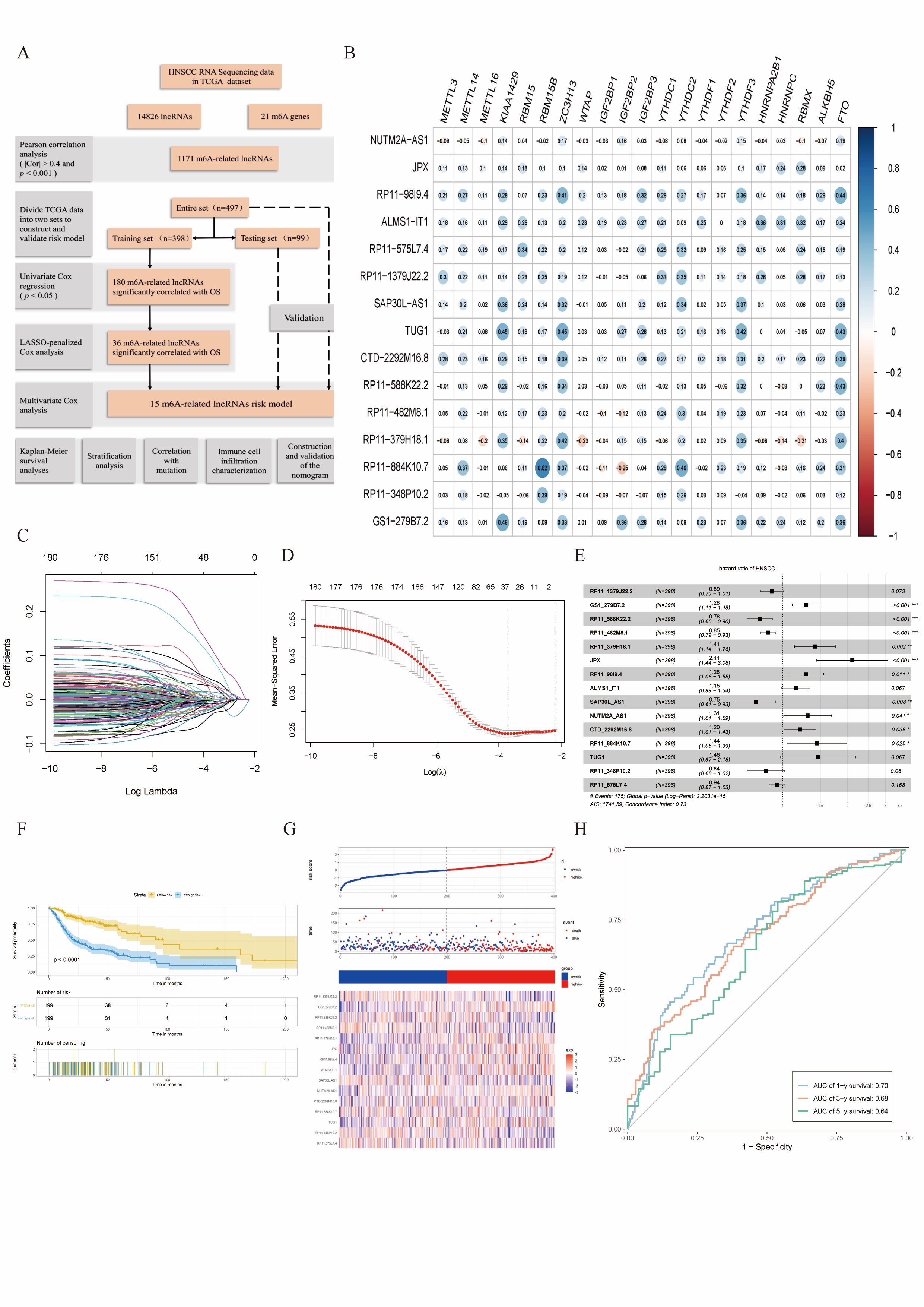 A) Flow diagram of study; B) Heatmap of the correlations between 21 m6A genes and the 15 prognostic m6A-related long non-coding RNAs (lncRNAs); C) The LASSO coefficient profile in training set; D) The LASSO profile according to the minimal criterion and 1-se criterion in training set; E) Multivariate Cox regression analysis showed prognostic m6A-related lncRNAs in training set; F) Kaplan-Meier curves showed that the head and neck squamous cell carcinoma (HNSCC) patients had worse overall survival in the high-risk subgroup in the training set; G) Risk scores and survival status of HNSCC patients in training set; H) The receiver operating characteristic curves of risk model for predicting 1-, 3-, and 5-year survival in the training set.